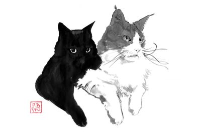 two cats