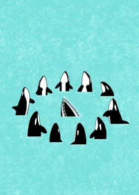 Whale war