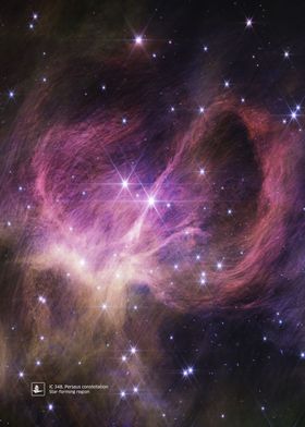 JWST IC 348 Perseus