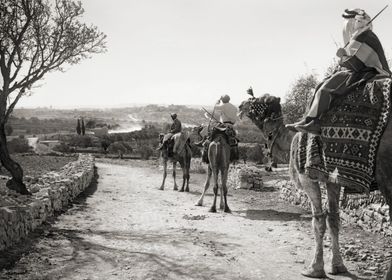 Bethlehem Camel Riders