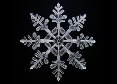Abstract Makro Snowflake