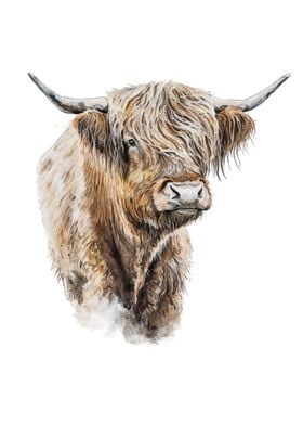 Highland Cow Watercolor