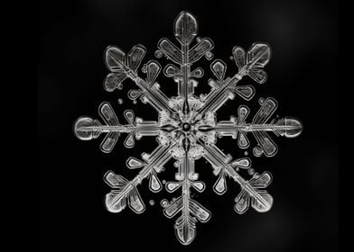 Christmas Snowflake