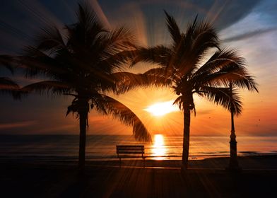 Tropical Beach sunset