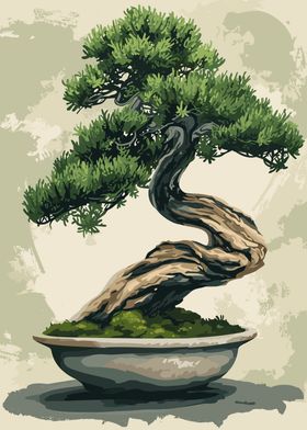 Bonsai Tree Japan