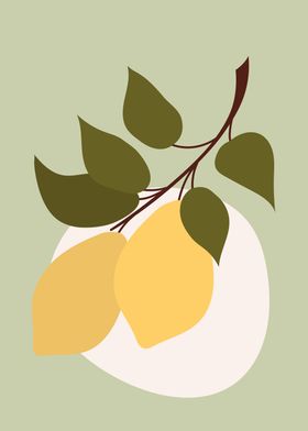 Lemon tree branch