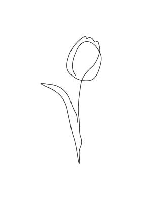 Tulip flower one line art