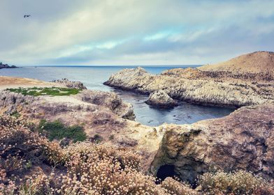 Point Lobos Coast
