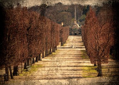 Autumn Trees