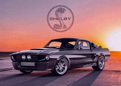 Shelby Mustang GT500