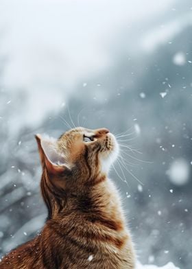 Winter Cat