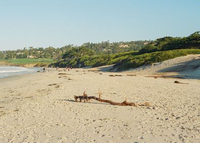 Carmel California Beach