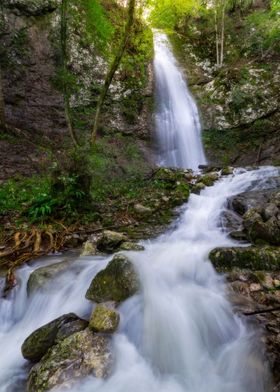 Summer Waterfall