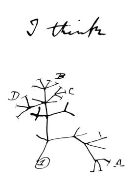 Darwin tree of life