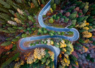 Winding autumn road