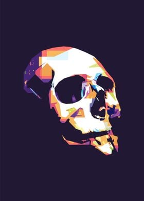 skull pop art portrait