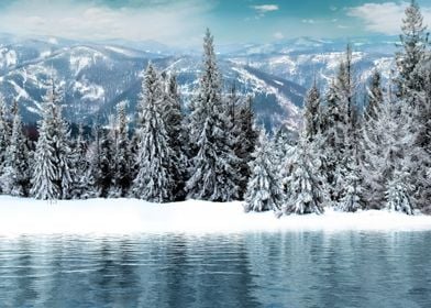 Snowy forest in Austria