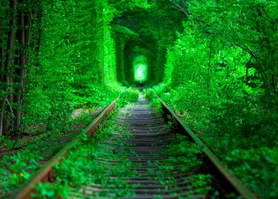 Forest tunnel of love