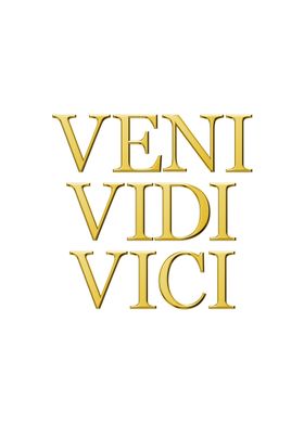 Vini Vidi Vici