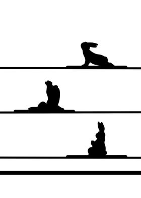 Yoga rabbit