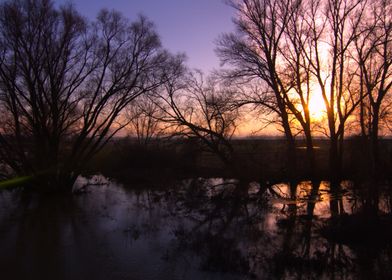 Sunset in an alluvial fore