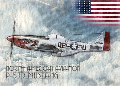 P51D Mustang