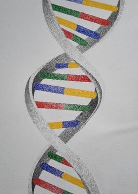 DNA Molecule