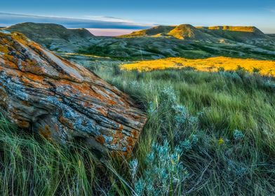 Grasslands National Park