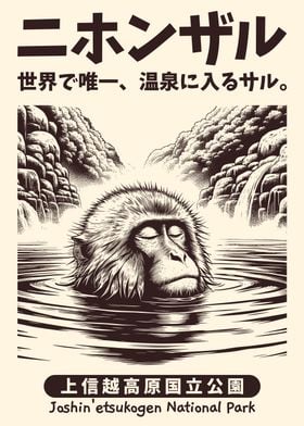Japanese Macaque Monkey 