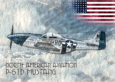 P51D Mustang