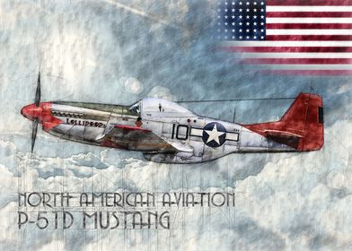 P51D Mustang