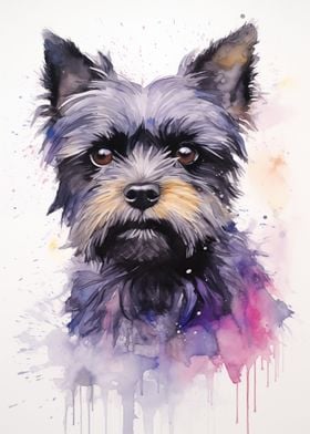 Affenpinscher portrait