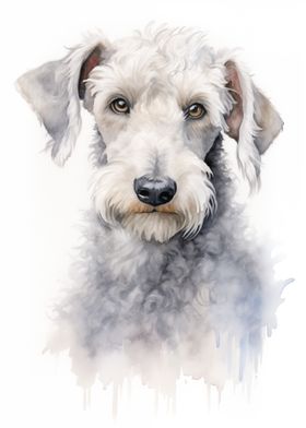 Bedlington terrier