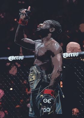 Aljamain Sterling UFC