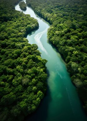 The Amazon River Bend