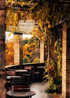 Autumn Garden Cafe