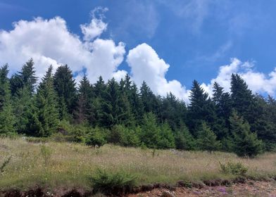 Carpathians Romania