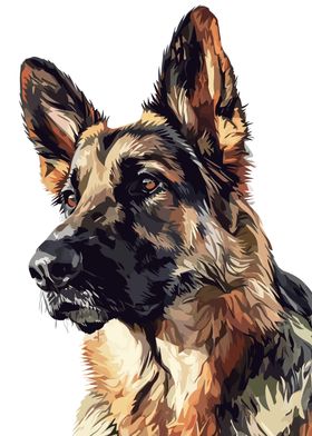 German Shepherd Drawing