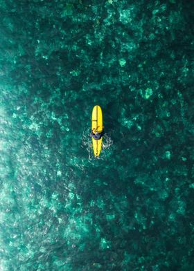 The Yellow Surfer