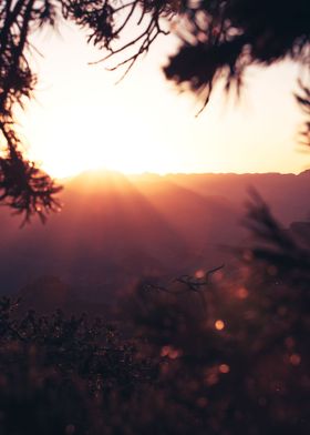 Grand Canyon Sunrise