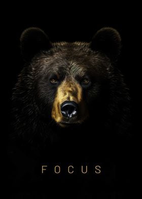 Focus Bear Gold Dark