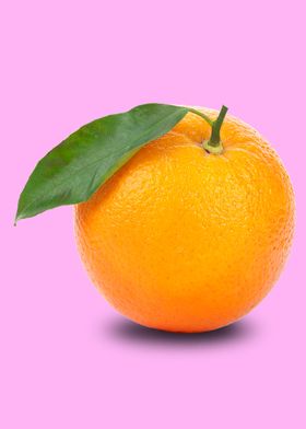 fresh orange in pink