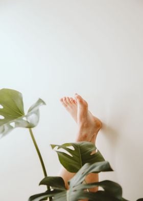 Feet in Plants