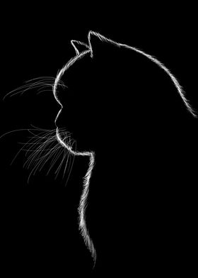 Silhouette of a cat 2