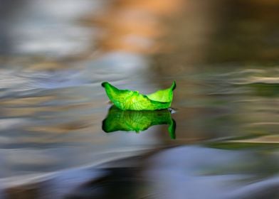 Green PETAL floating 