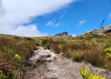 Judas Peak Hike