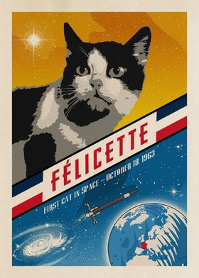 Felicette Cat in space