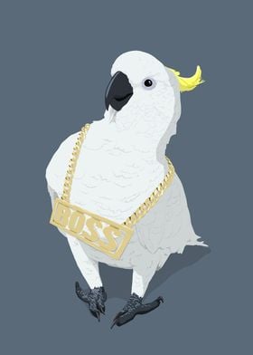 Swag cockatoo