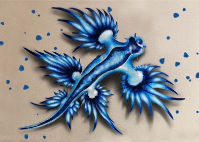 Blue sea dragon