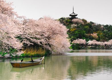 Yokohama in Japan